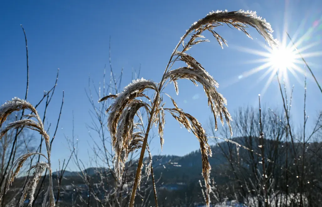 Ciepła zima, zdjęcie ilustracyjne, fot. PAP/EPA/Zima. Fot. PAP/Darek Delmanowicz