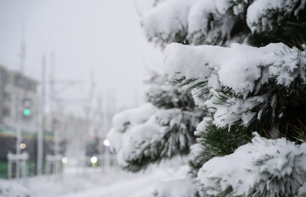 Śnieg. Zdjęcie ilustracyjne. Fot. PAP/Jakub Kaczmarczyk