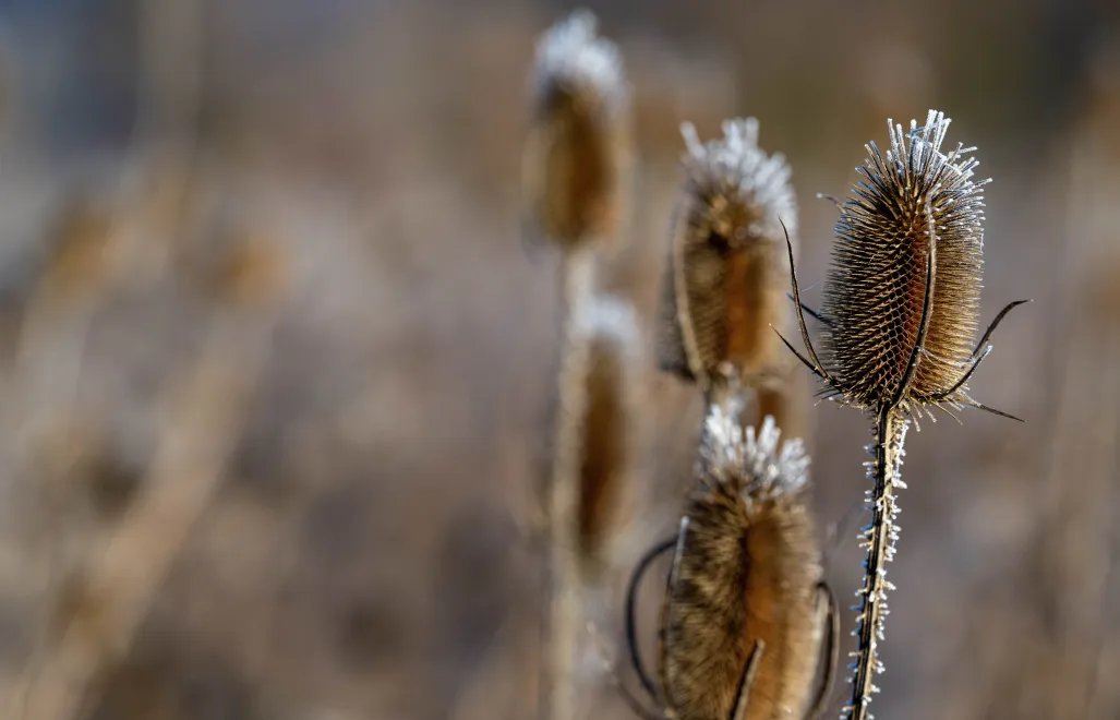 Pogoda. Fot. PAP/Darek Delmanowicz
