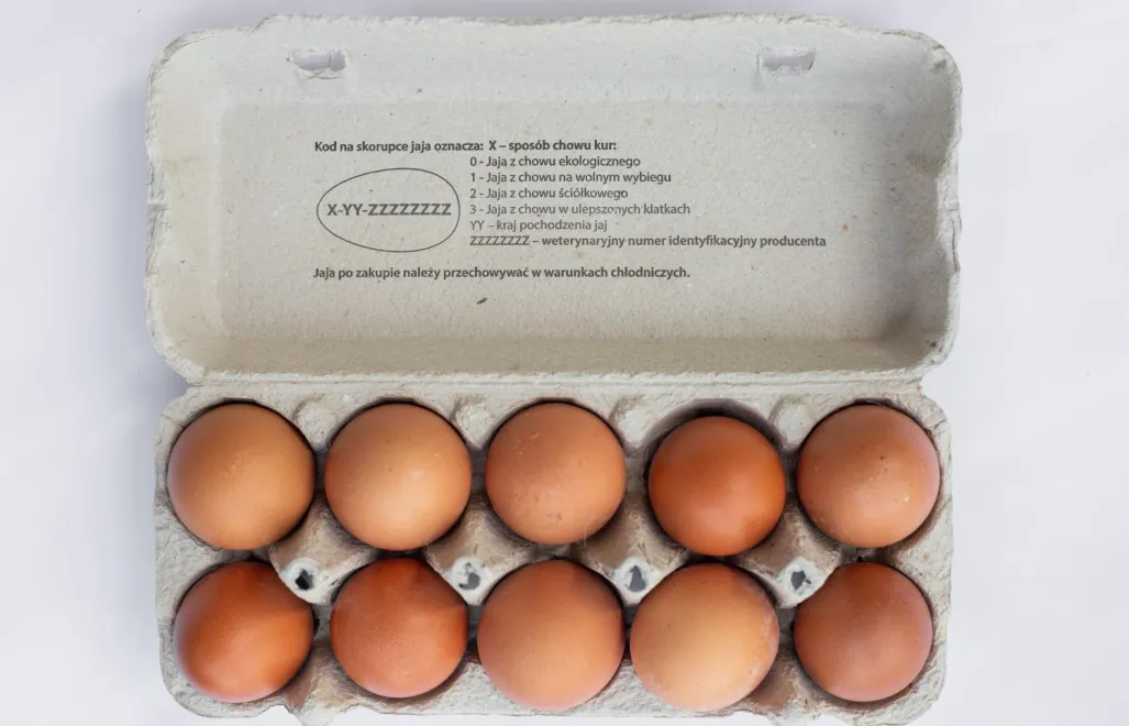 Stowarzyszenie Otwarte Klatki (1)