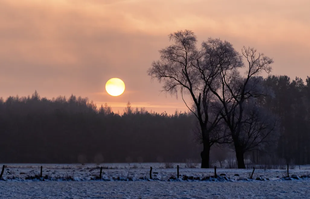 Zima w Polsce. Fot. Adobe Stock/podlaski49