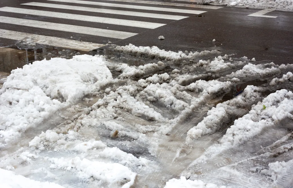 Kontrolerzy ZOM pracują całą dobę i sprawdzają ponad 4 mln m kw. terenów dla pieszych. Fot. Adobe Stock/Heroc