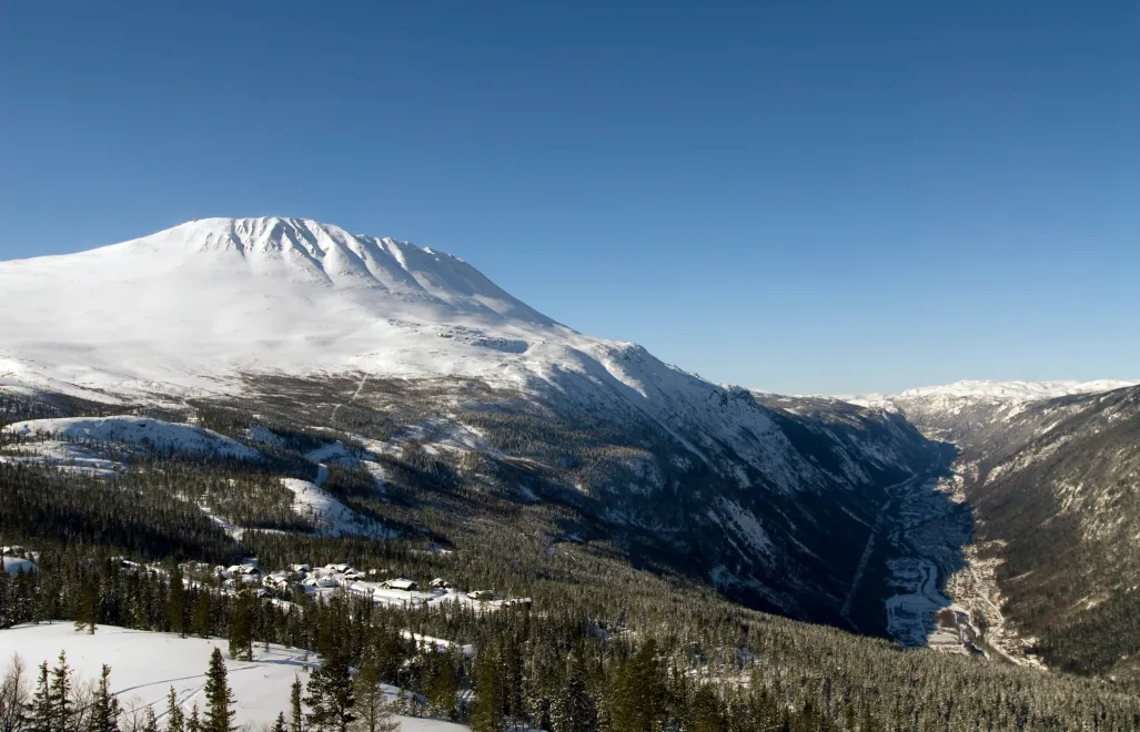 Zdjcie ilustracyjne Fot. Adobe Stock/Jone Gundersen