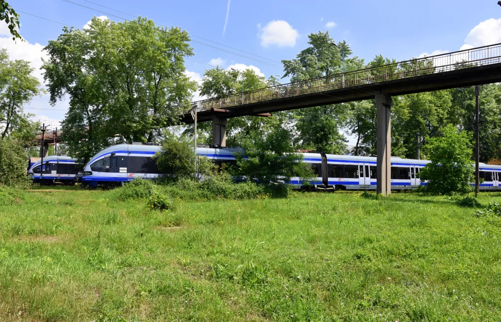 Bocznica. Fot. Adobe Stock/Albin Marciniak (zdjęcie ilustracyjne)
