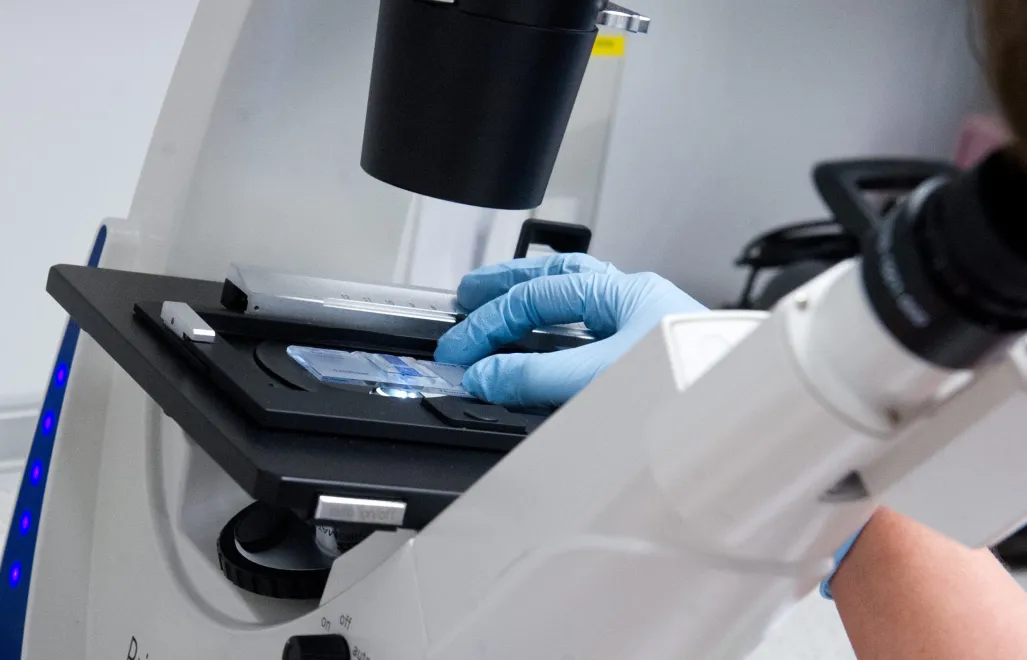 Naukowiec przy mikroskopie - zdjęcie ilustracyjne Fot. PAP/Grzegorz Michałowski