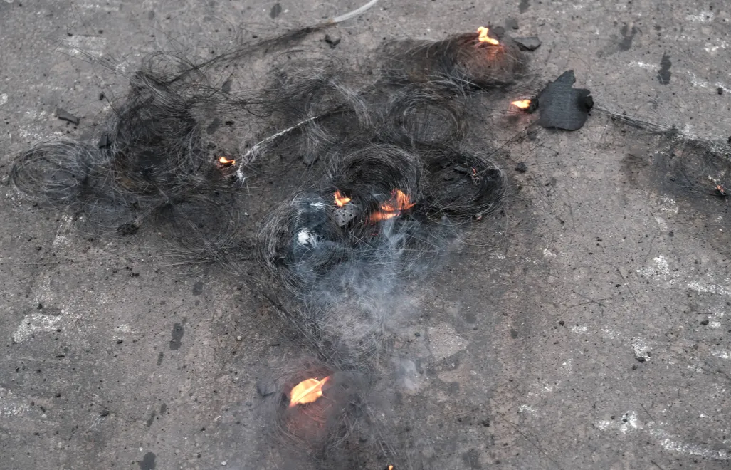 Fot. PAP/EPA/MARIA SENOVILLA