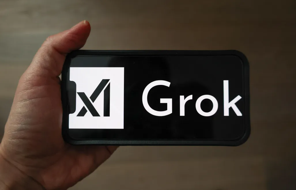 Grok (zdjęcie ilustracyjne). Fot. PAP/Albert Zawada