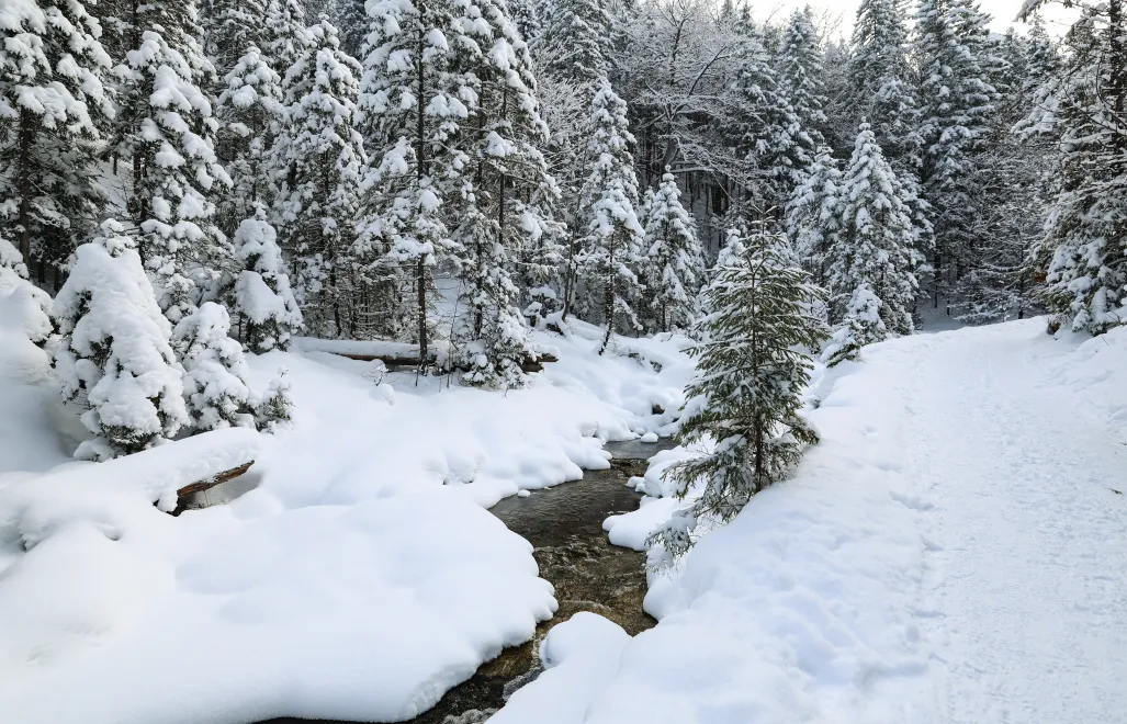 Zima w Tatrach. Fot. PAP/Grzegorz Momot