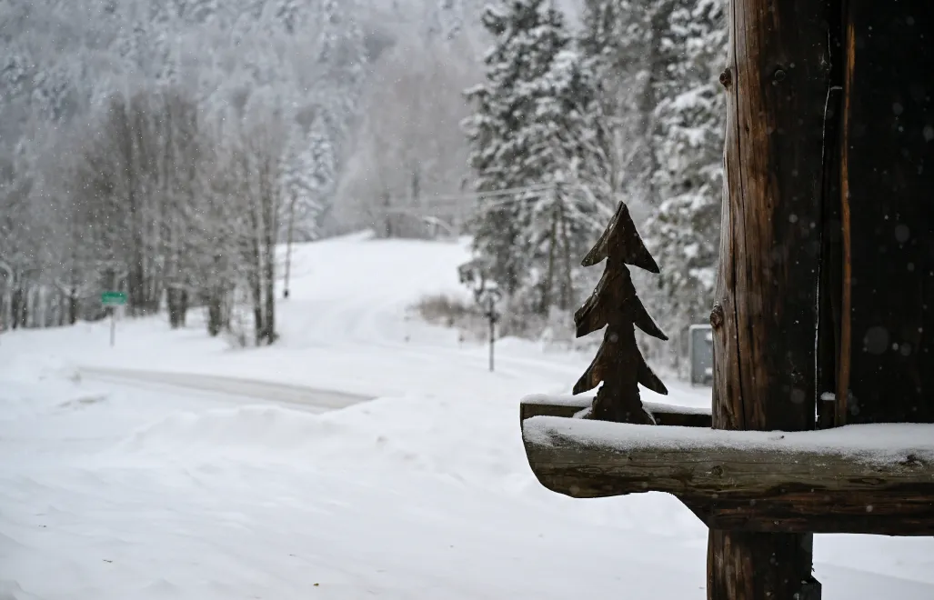 Zima Fot. PAP/Darek Delmanowicz