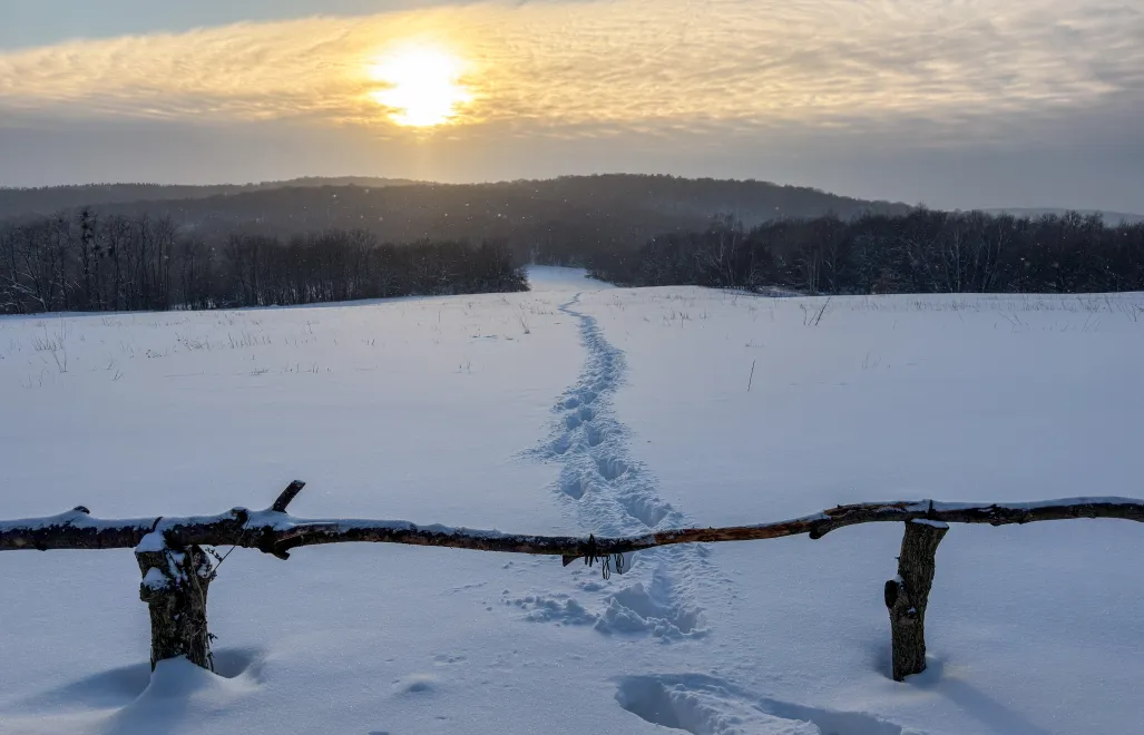 Ośnieżone pole Fot. PAP/Darek Delmanowicz