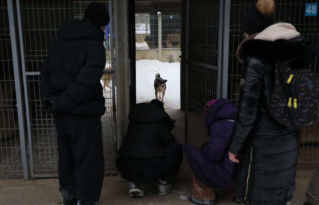  Akcja zabierania psów ze schroniska dla zwierząt "Happy Dog" w miejscowości Sobolew Fot. PAP/Paweł Supernak