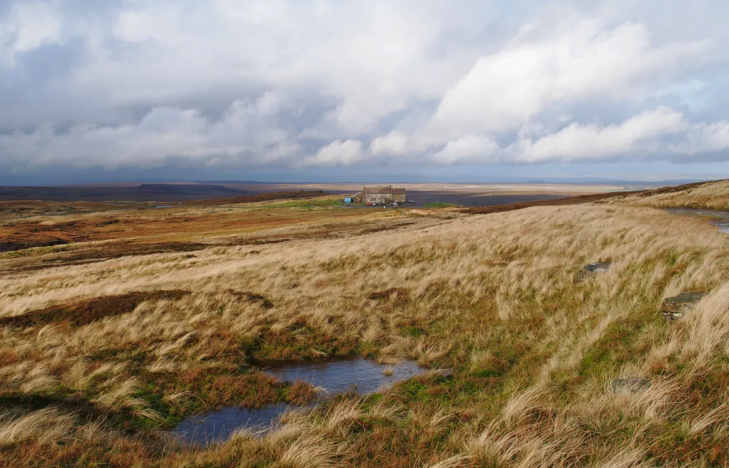 Yorkshire Dales. Fot. Kreuzschnabel. Źródło: Wikipedia Commons.