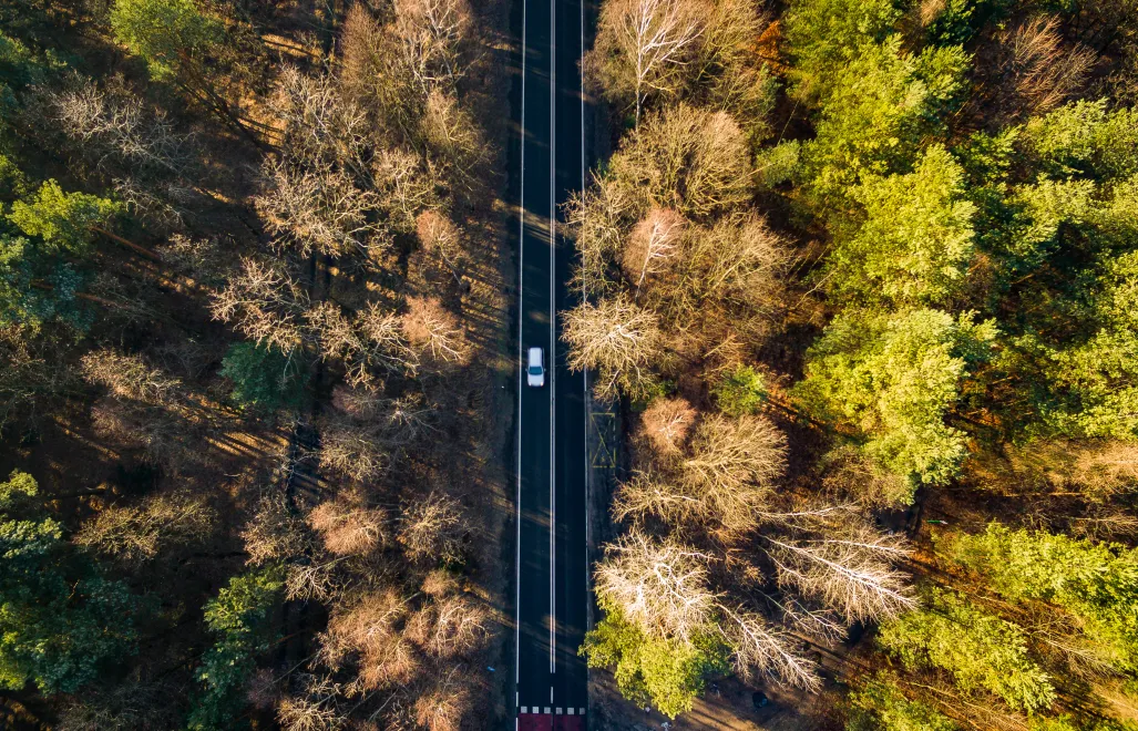 Według danych Instytutu Badań Rynku Motoryzacyjnego SAMAR w grudniu 2025 r. zarejestrowano w Polsce 9821 nowych chińskich samochodów. Fot. Adobe Stock/BlackMediaHouse