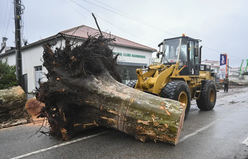 Usuwanie zniszczeń po przejściu orkanu w Portugalii. Fot. PAP/EPA/Carlos Barroso 