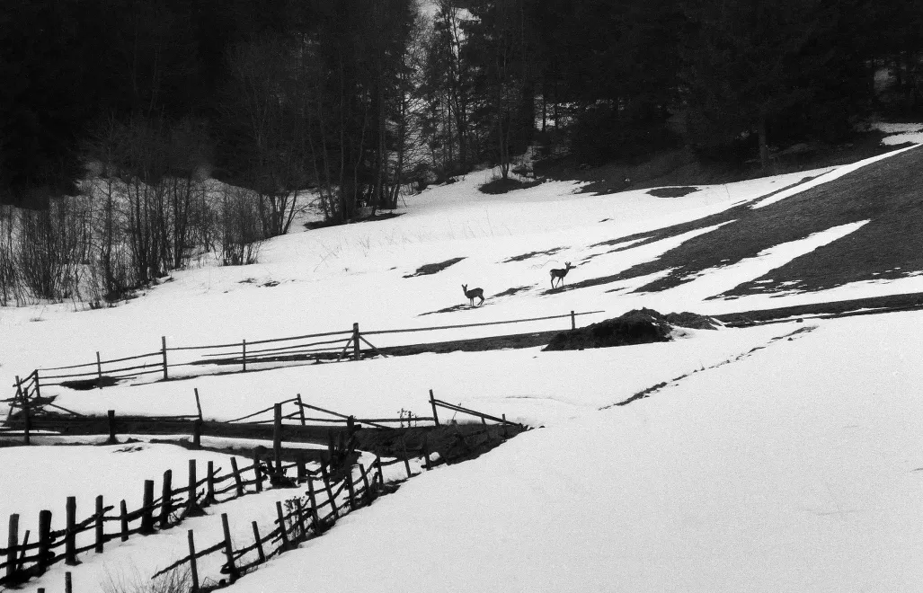 Kotlina Podhalańska - zdjęcie ilustracyjne Fot. PAP/Afa Pixx/Zenon Żyburtowicz