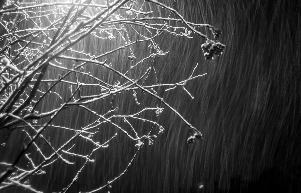 Nocne opady śniegu. Zdj. Ilustracyjne. Fot. PAP/Tytus Żmijewski