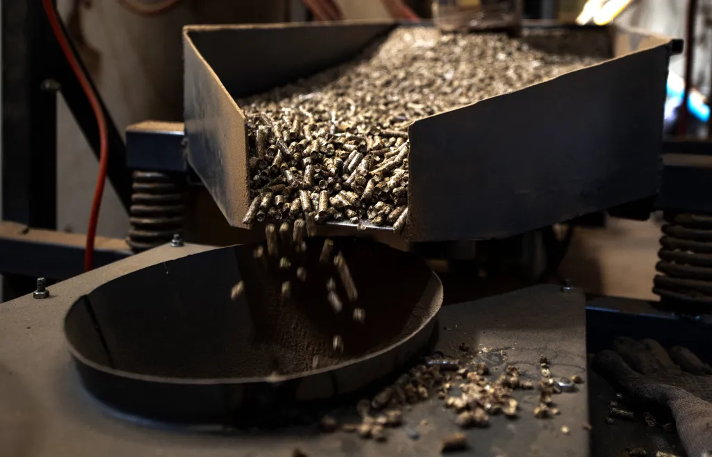 Pellet Fot. PAP/EPA/GEORGI LICOVSKI