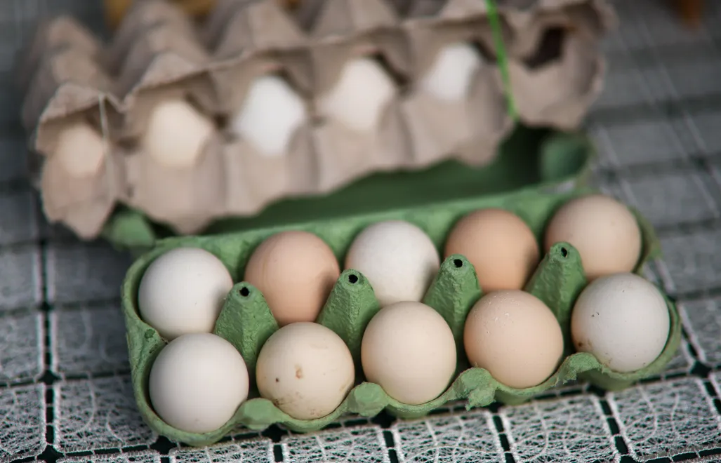 Jajka Fot. PAP/Leszek Szymański