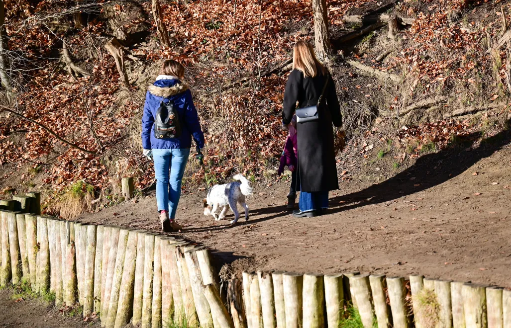 Spacer w słońcu Fot. PAP/Marcin Bielecki