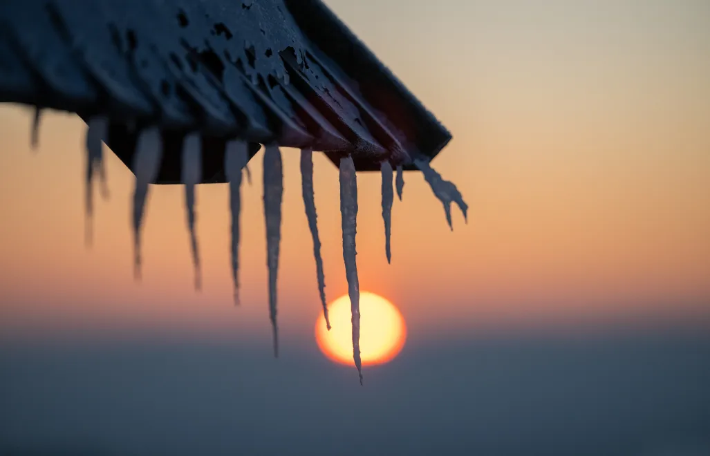 Mróz. Fot. PAP/Darek Delmanowicz