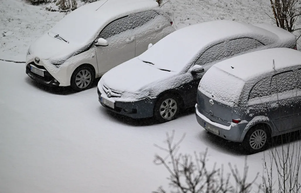 Mróz. Fot. PAP/Darek Delmanowicz