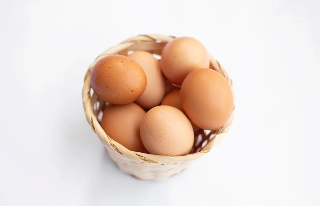 Stowarzyszenie Otwarte Klatki