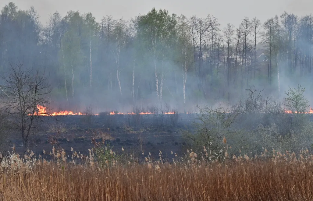 Pożar traw w krakowskiej dzielnicy Dębniki. Fot. PAP/Art Service