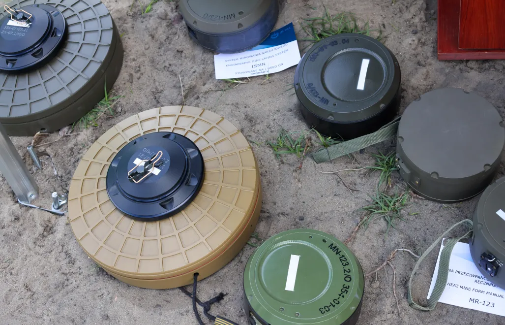 Міни, фотоілюстрація. Fot. PAP/Albert Zawada