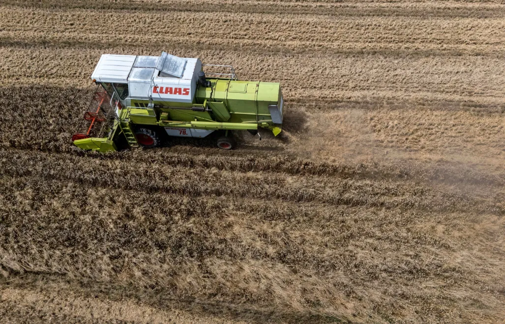 Rolnictwo (zdjęcie ilustracyjne). Fot. PAP/Darek Delmanowicz