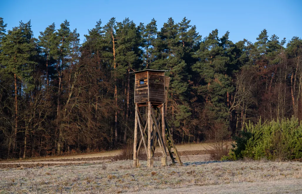 Ambona mysliwska Fot. PAP/Darek Delmanowicz