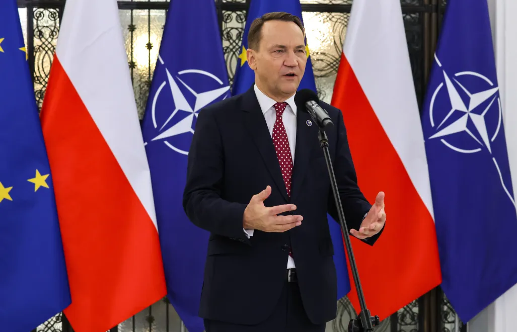 Radosław Sikorski. Fot. PAP/Albert Zawada