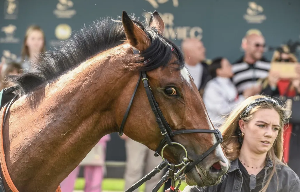 Fot. PAP/S. Leszczyński (1)