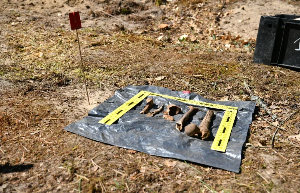 Miejsce poszukiwań. Fot. Facebook/Instytut Pamięci Narodowej