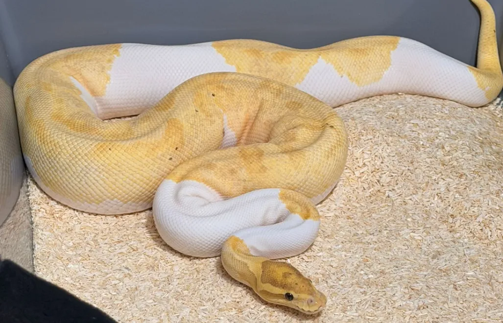 fot. Policja Małopolska