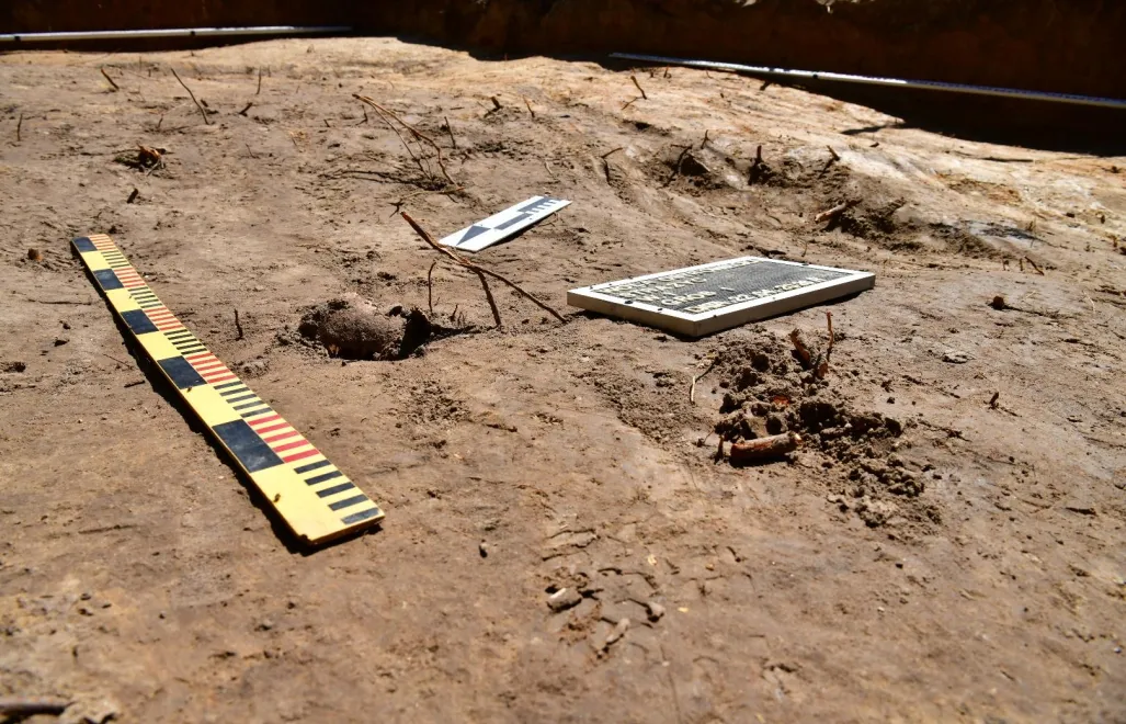 Polski IPN powiadomił o szczątkach pięciu osób. Fot. X/IPN