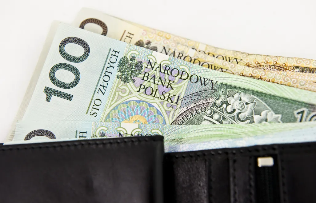 Pieniądze. Fot. PAP/	Wojciech Pacewicz