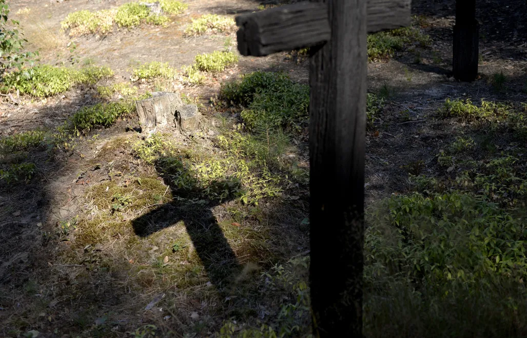 Cmentarz w Ostrówkach, zdjęcie ilustracyjne, fot. PAP/Darek Delmanowicz