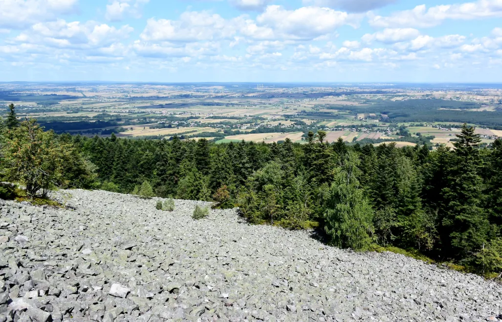 Widok na gołoborze w Świętokrzyskim Parku Narodowym. Fot. PAP/Piotr Polak