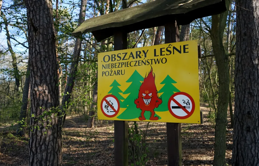 Tablica informacyjna w lesie w Szczecinie. Fot. PAP/Marcin Bielecki