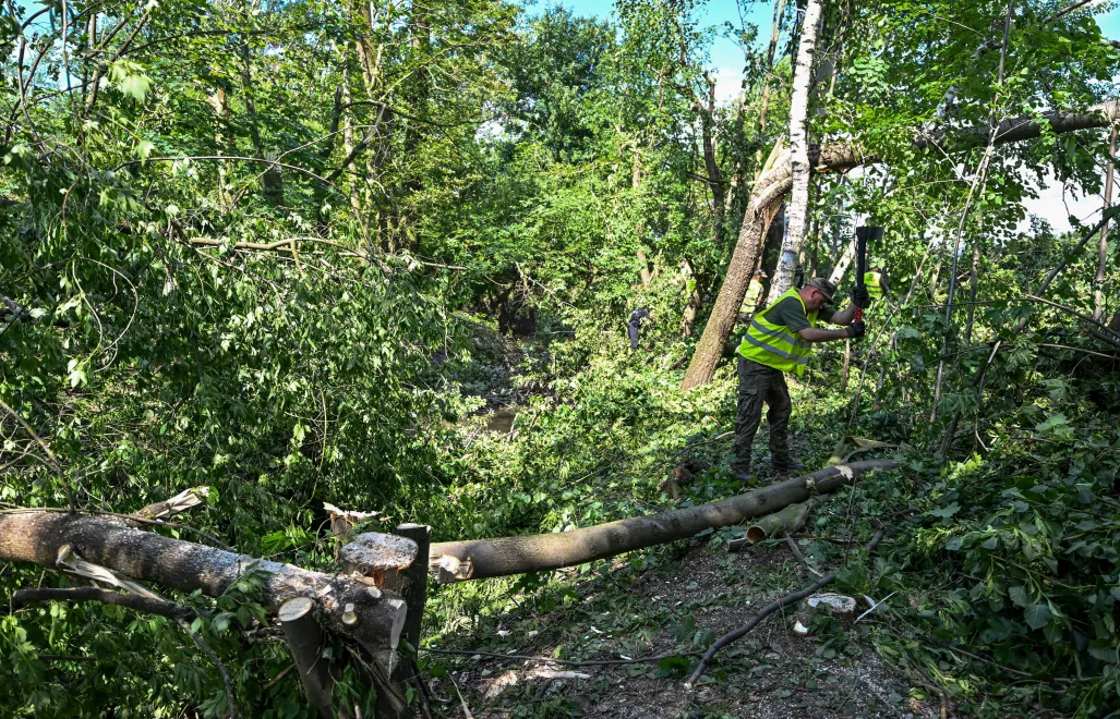 MSWiA: 126 interwencji straży pożarnej z powodu sobotnich wichur. Fot. PAP/	Darek Delmanowicz 9zdjęcie ilustracyjne)