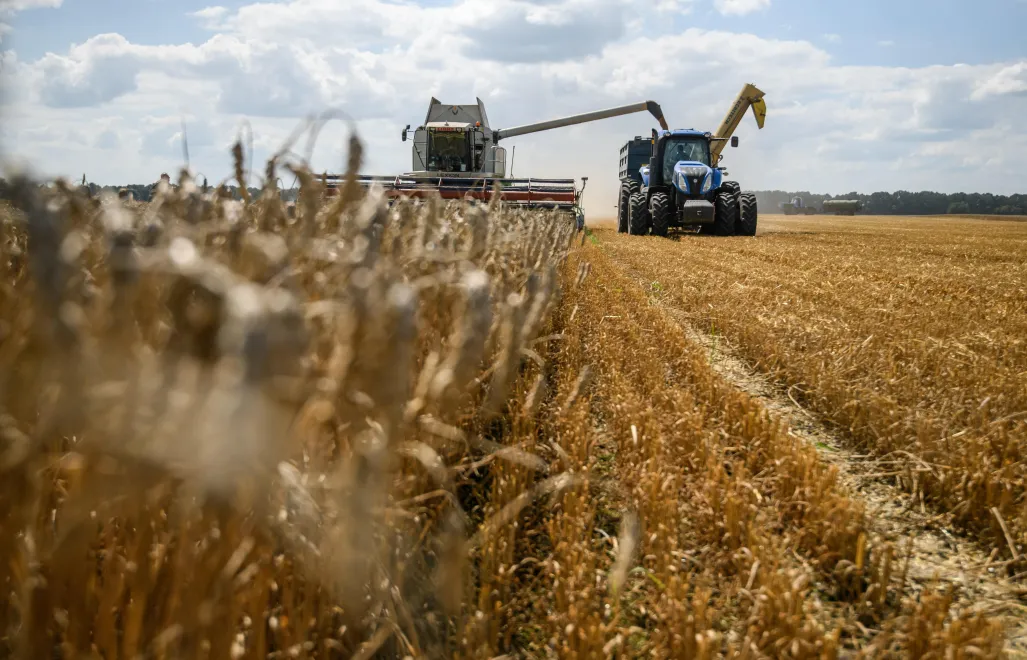 Żniwa pszenicy na Ukrainie, fot. PAP/Vladyslav Musiienko