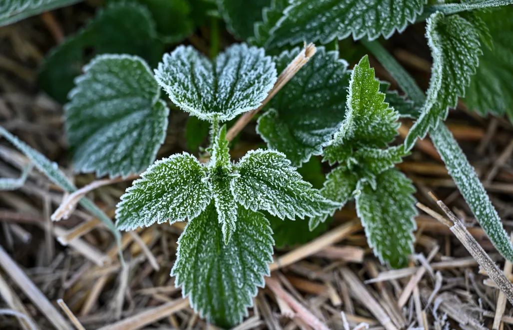 Ostrzeżenia potrwają do godz. 8 rano w sobotę. Fot. PAP/Darek Delmanowicz