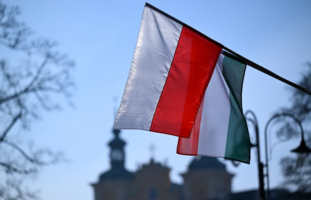 Прапори Польщі та Угорщини, фотоілюстрація. Fot. PAP/Darek Delmanowicz