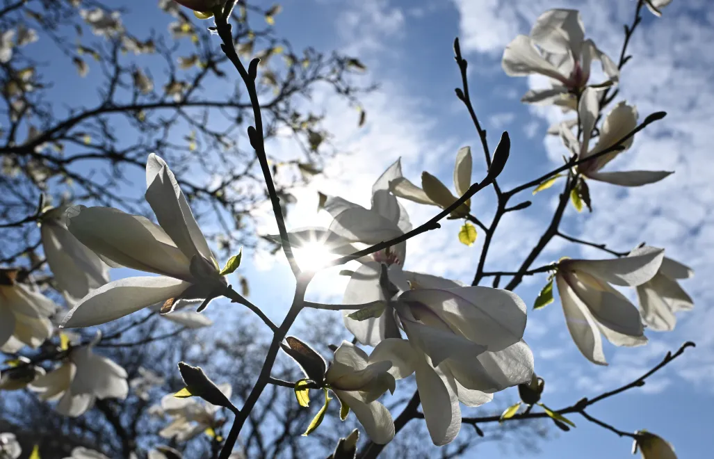 Zdjęcie ilustracyjne Fot. PAP/Radek Pietruszka