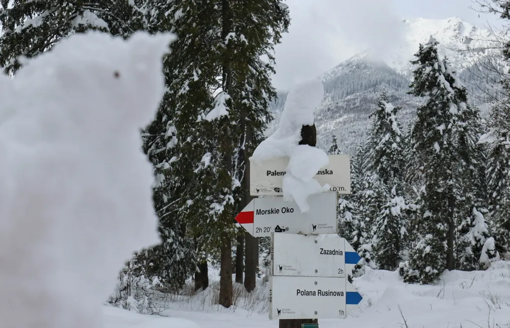 Śnieg w Tatrach Fot. PAP/Grzegorz Momot