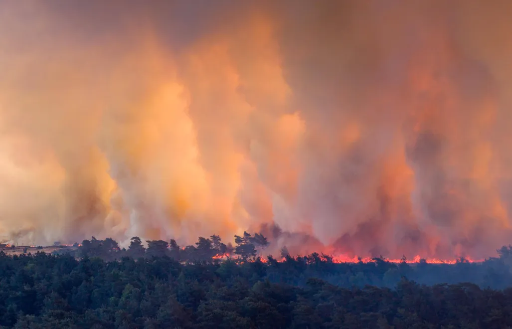 Pożar na poligonie wybuchł podczas ćwiczeń. Fot. PAP/EPA/BRAM VAN DE BIEZEN