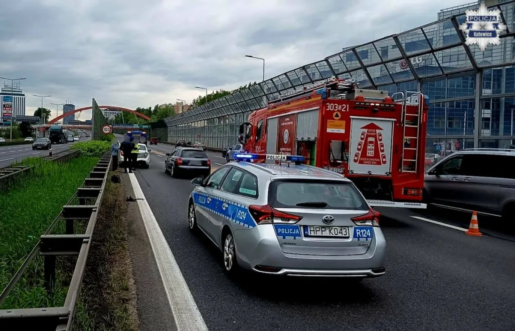 fot. Komenda Miejska Policji w Katowicach
