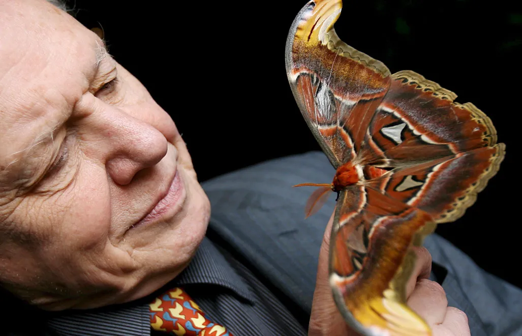 Sir David Attenborough. Fot. PAP/ EPA/ANDY RAIN