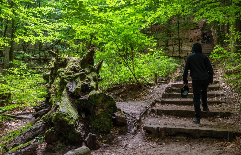 Roztoczański Park Narodowy. Fot. PAP/Wojtek Jargiło
