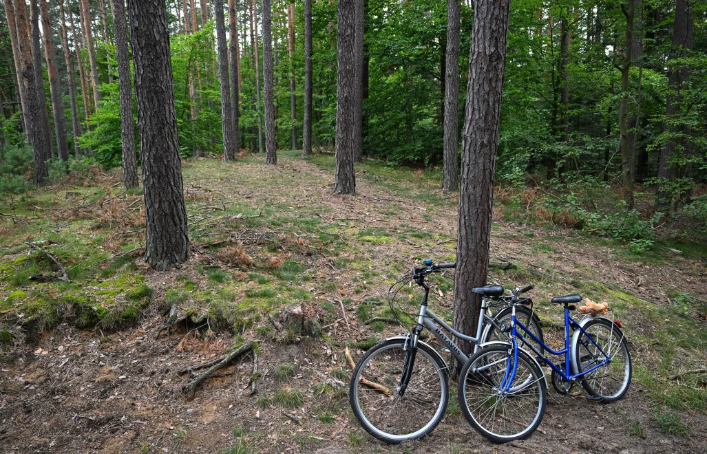 Roztoczański Park Narodowy Fot. PAP/Wojtek Jargiło